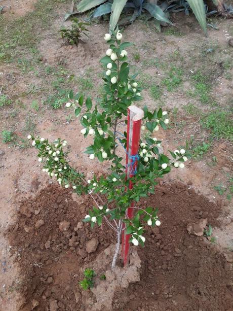Name:  mersin1.jpg
Views: 1643
Size:  73.5 KB