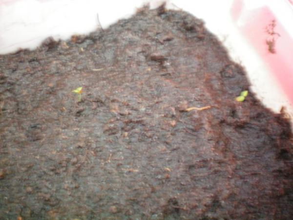 Name:  000_0002.jpg
Views: 515
Size:  38.4 KB