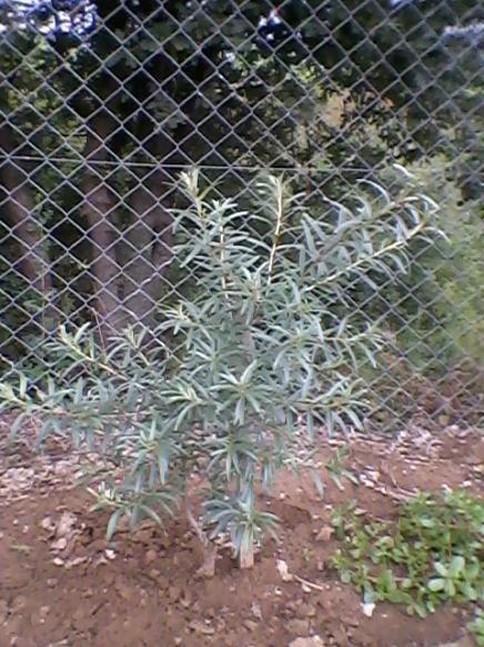 Name:  Fotoraf-0007.jpg
Views: 3661
Size:  65.3 KB