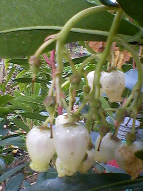 Name:  Fotoraf-0007.jpg
Views: 600
Size:  48.1 KB