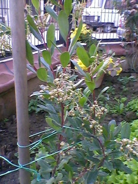 Name:  Fotoraf-0002.jpg
Views: 1016
Size:  62.7 KB