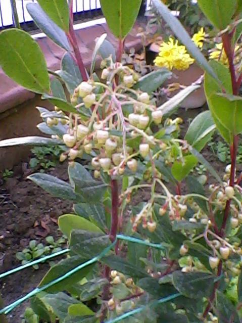 Name:  Fotoraf-0003.jpg
Views: 1003
Size:  60.1 KB