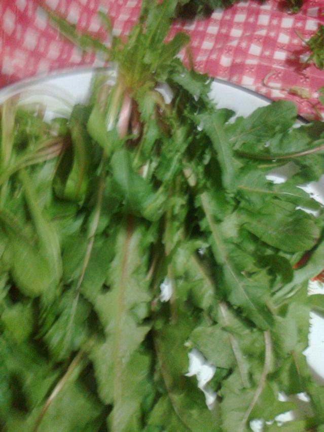 Name:  Fotoraf1945.jpg
Views: 2685
Size:  69.7 KB