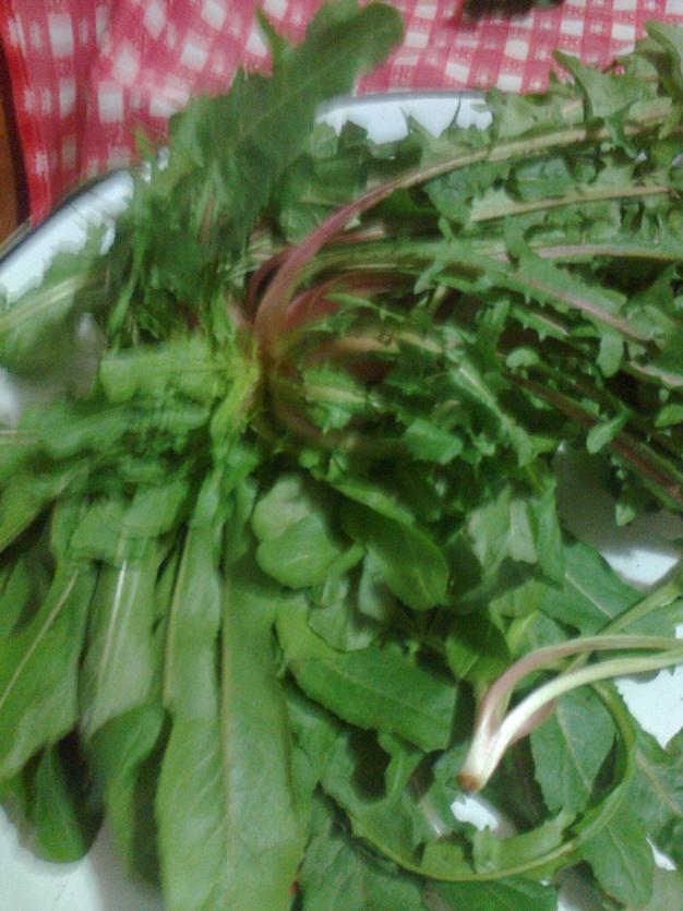 Name:  Fotoraf1946.jpg
Views: 2746
Size:  70.8 KB