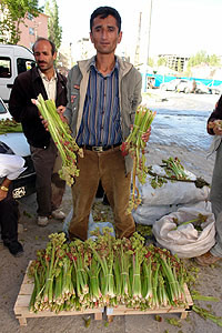 Name:  ukun.jpg
Views: 28982
Size:  30.7 KB