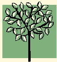 Name:  tree%20logo1.jpg
Views: 6492
Size:  16.9 KB