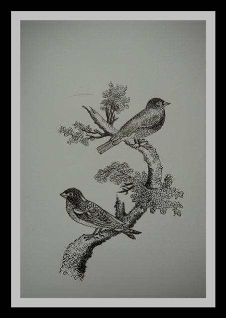 Name:  resimb.jpg
Views: 20951
Size:  27.9 KB