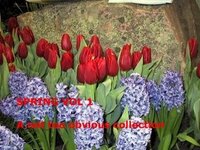 Name:  Spring+Vol+1.jpg
Views: 526
Size:  13.3 KB