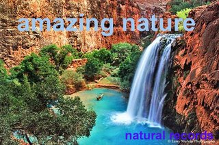 Name:  amazing_nature_copy.jpg
Views: 396
Size:  34.0 KB
