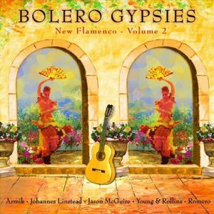 Name:  Bolero Gypsies New Flamenco, Vol. 2.jpg
Views: 399
Size:  24.9 KB