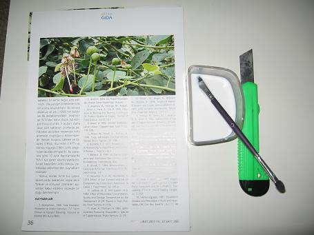 Name:  Resim 001.jpg
Views: 9219
Size:  28.8 KB