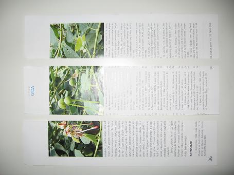 Name:  Resim 003.jpg
Views: 9491
Size:  29.3 KB