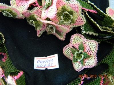 Name:  DSCN0095.jpg
Views: 4021
Size:  27.3 KB
