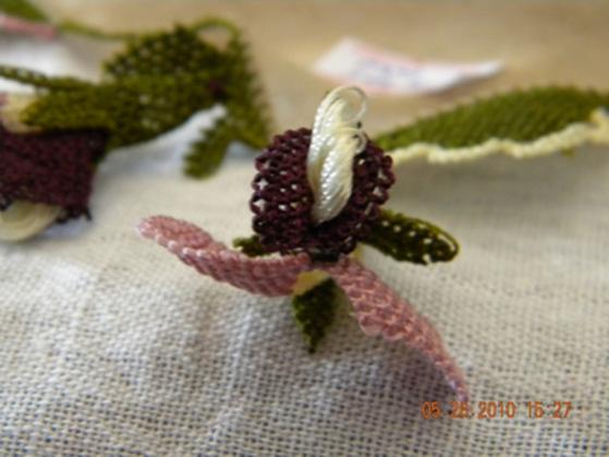 Name:  DSCN0078.jpg
Views: 3559
Size:  30.9 KB