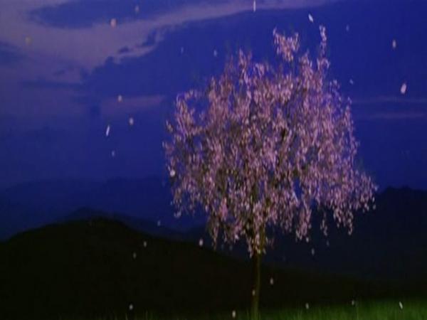 Name:  bscap0001kiraz4bscap0001.jpg
Views: 7036
Size:  21.7 KB