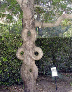 Name:  07.jpg
Views: 9355
Size:  62.5 KB