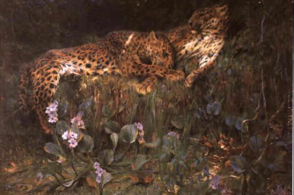 Name:  leoparlar dinleniyor.jpg
Views: 889
Size:  38.1 KB