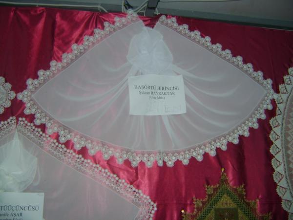 Name:  festival-basortu2008-1a%20(1013%20x%20760).jpg
Views: 10636
Size:  32.0 KB