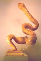 Name:  snake012[1].jpg
Views: 3850
Size:  9.5 KB