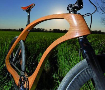 Name:  20090312bike01.jpg
Views: 1580
Size:  35.4 KB