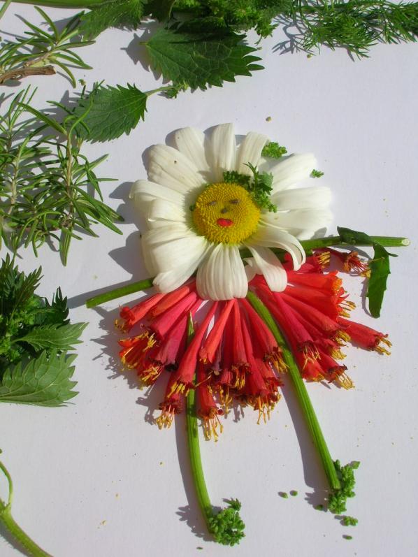 Name:  DSCN6007.jpg
Views: 1760
Size:  71.9 KB
