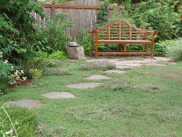 Name:  thyme_lawn.jpg
Views: 3858
Size:  54.9 KB