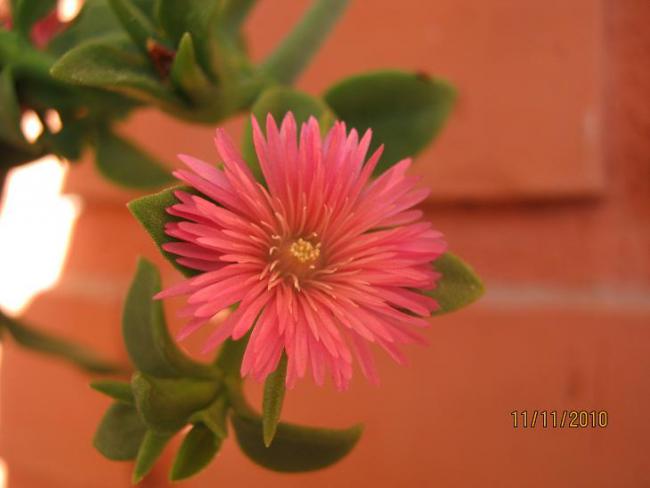 Name:  buz  1.jpg
Views: 3474
Size:  25.7 KB