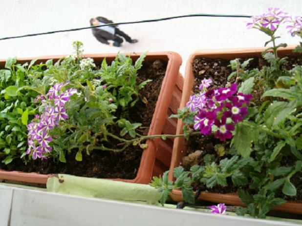 Name:  ieklerim 006.jpg
Views: 2989
Size:  51.3 KB
