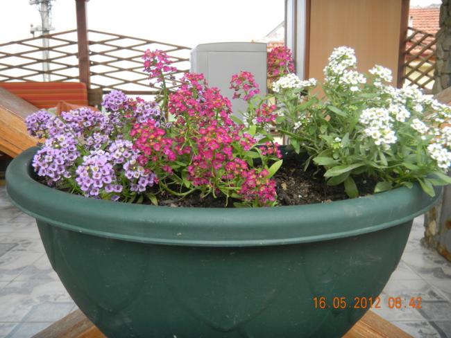 Name:  DSCN1106.jpg
Views: 2210
Size:  54.4 KB