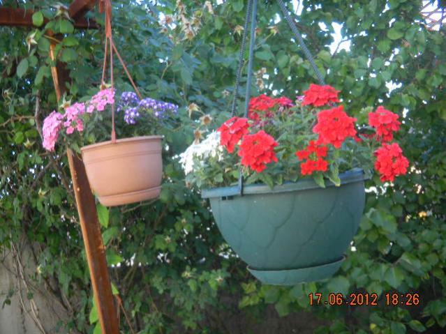Name:  DSCN1470.jpg
Views: 2323
Size:  59.5 KB