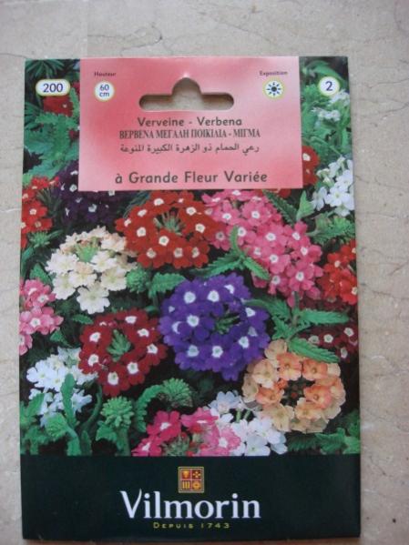 Name:  verbena.jpg
Views: 1985
Size:  45.4 KB