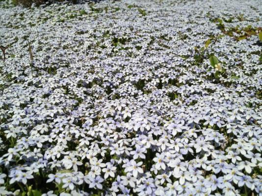 Name:  2012-05-26 15.23.57.jpg
Views: 1475
Size:  75.9 KB