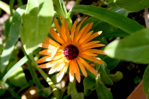 Name:  14_06_2008 048.jpg
Views: 26529
Size:  49.5 KB