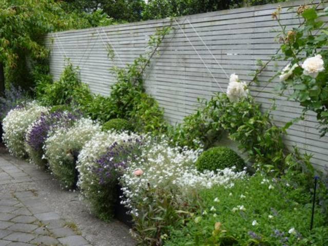 Name:  FormalGarden5.jpg
Views: 5731
Size:  65.5 KB