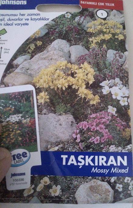 Name:  taskiran.jpg
Views: 655
Size:  63.1 KB