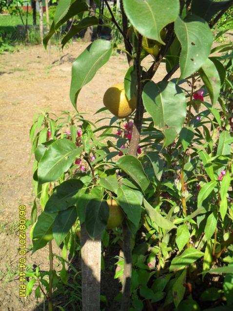 Name:  006.jpg
Views: 2563
Size:  71.9 KB