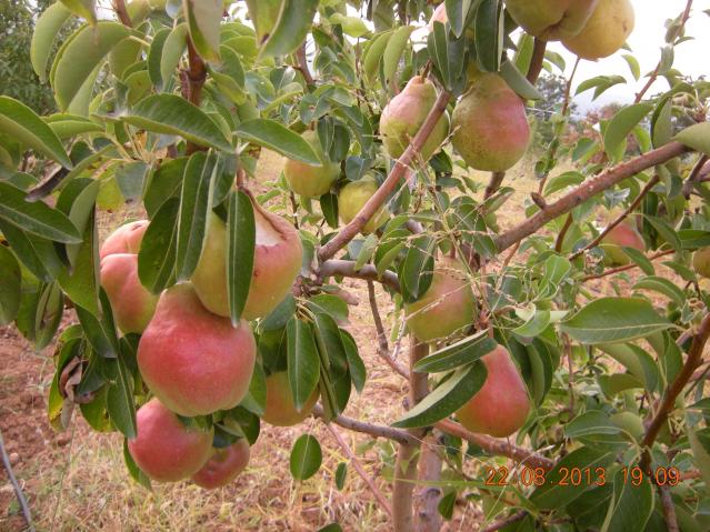 Name:  DSCN7334.jpg
Views: 1276
Size:  70.0 KB