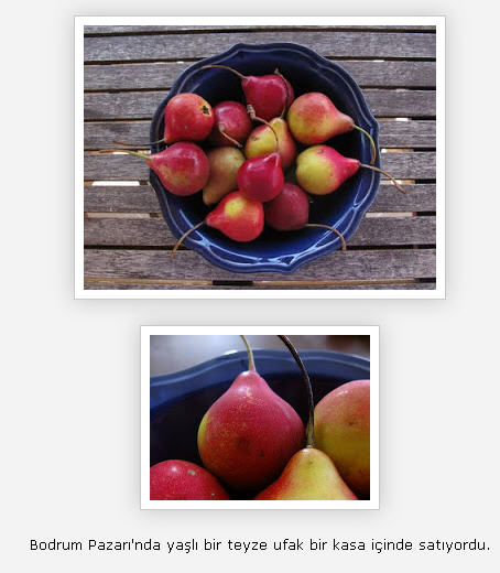 Name:  SNAG-0161.jpg
Views: 6737
Size:  40.2 KB
