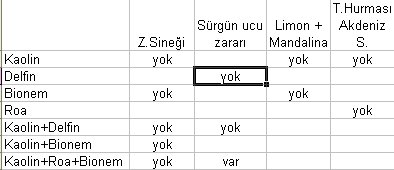 Name:  tablo.jpg
Views: 1904
Size:  16.5 KB