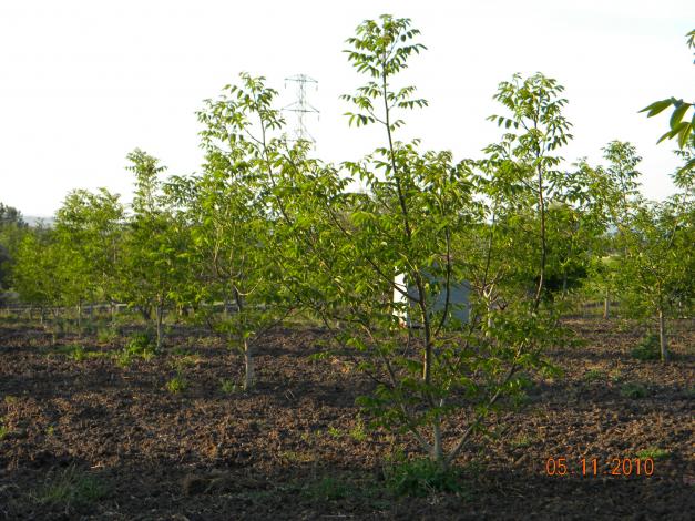 Name:  Resim 038.jpg
Views: 2516
Size:  70.5 KB
