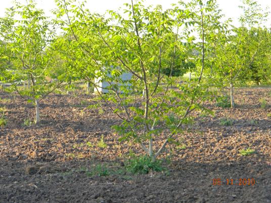 Name:  Resim 039.jpg
Views: 2558
Size:  71.8 KB