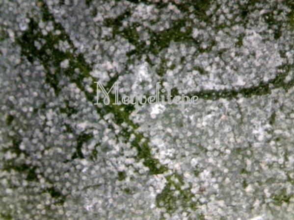 Name:  Red_Scale4.jpg
Views: 9487
Size:  53.8 KB
