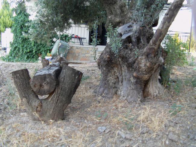 Name:  IMAG0025.jpg
Views: 3209
Size:  69.6 KB