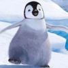 penguenn's Avatar