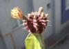 Biology's Avatar