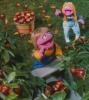 prairie dawn's Avatar