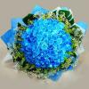 Bluepoem's Avatar