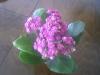 honey_flower_'s Avatar