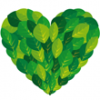 Aye Nur D.'s Avatar