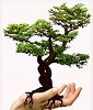 dregoist's Avatar
